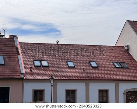 Red roof wit skylight in Nitra, Slovakia, Bratislava. Sunny day, cock. rooster