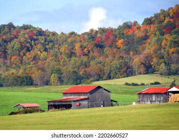 Red Roofed Barn And Buildings Sit In Large Field.  Appalachian Mountins Rise Behind, Colored With Red, Yelow And Gold Fall Leaves.