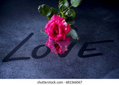 Red rose.