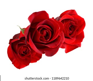 Three Red Roses High Res Stock Images Shutterstock