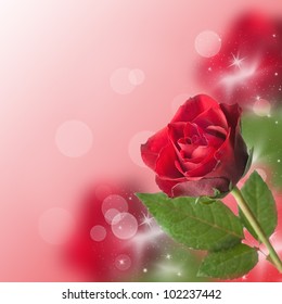 Red Rose Border With Bokeh And Copy Space