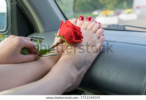 a red rose\
bud in the hand of a girl who touches the flower to her feet on the\
car panel in the passenger\
seat