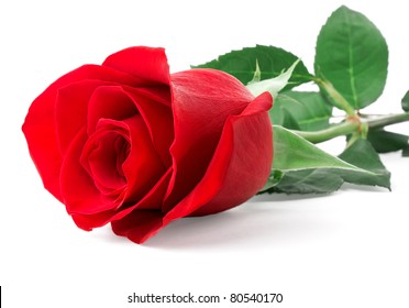 121,964 Single Red Rose Isolated Images, Stock Photos & Vectors ...