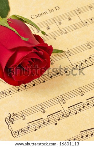 A red rose bud rests on Pachelbel's 'Canon in D' sheet music (parchment paper). Focus is on the rose bud.