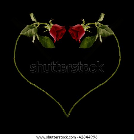 A red rose curving into the shape of a love heart.