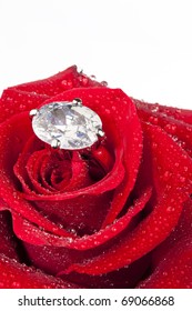 Red rose with diamond ring inside covered with water droplets