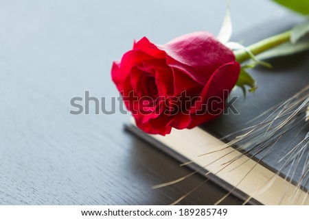 Red rose and ear of wheat with black book
