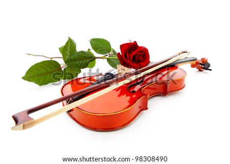 Red rose with fallen leaves over white background