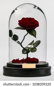 Red Rose In A Flask From The Movie 