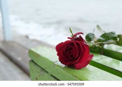 Red Rose For Floating With Scatter Ashes Over The Water In Thai Tradition