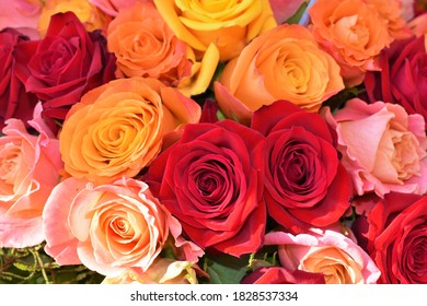 Red Rose Flower Bouqet Red Romance Blossom Romantic Lovely Loverose