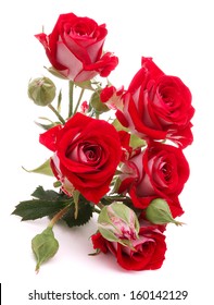 Red Rose Flower Bouquet Isolated On White Background Cutout