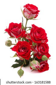 Red Rose Flower Bouquet Isolated On White Background Cutout