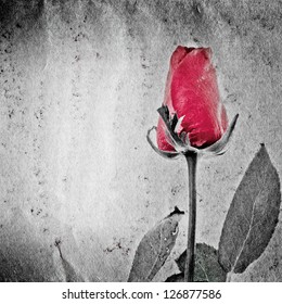 Red Rose Flower On Black And White Paper Texture