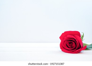 Red rose flower on white wooden background, copy space.