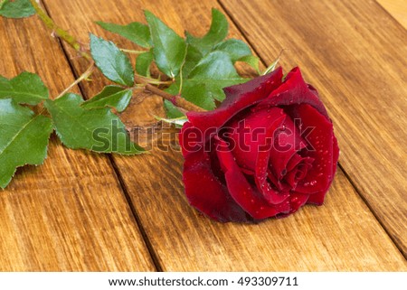 Red rose flower on wooden background
