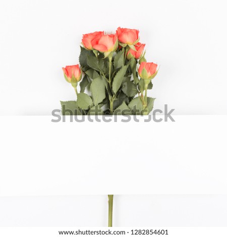 Red rose flowers on white background. Flat lay, top view. Floral background. Valentine's background. Valentines Day and Mother Day background. 