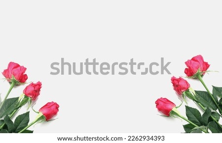 Red rose flowers on white background. Festive background concept for Day Mother's Day.