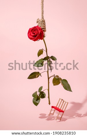 Red rose hangs with a noose over a falling chair. Creative desperate flower concept.