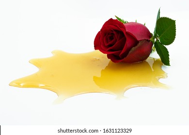 Red Rose And Leaves, On Vivid Splashed Honey In The White Background