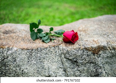 Red Rose Was Left On Gravestone In The Graveyard For Someone Who Passed Away.