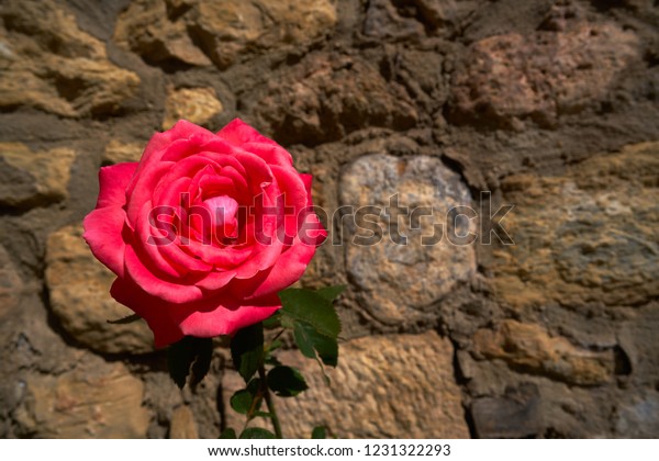 rose masonry