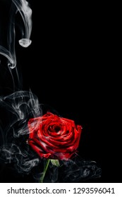 21,529 Roses Smoke Images, Stock Photos & Vectors 