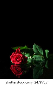 Red Rose On A Black Background