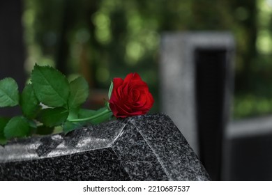 Red Rose On Grey Granite Tombstone Outdoors. Space For Text