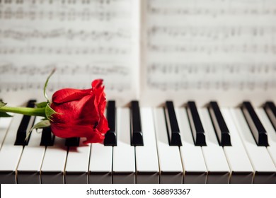 4,711 Piano and rose Images, Stock Photos & Vectors | Shutterstock