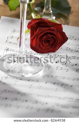 red rose on a sheet of notes close up shoot
