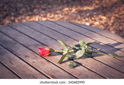 Red rose on the table , Background dry leaves