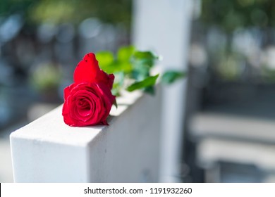 Red Rose On The Tombstone. Rose In A Cemetery With Headstone. Red Rose Flower On A Grave In A Cemetery. Flower At A Funeral. Tragedy And Sorrow For The Loss Of A Loved One. 