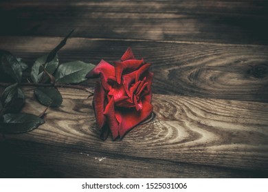 Red rose on a vintage style wooden table