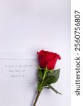 A red rose is on a white background with a note that says "I love you". The image conveys a romantic and loving sentiment