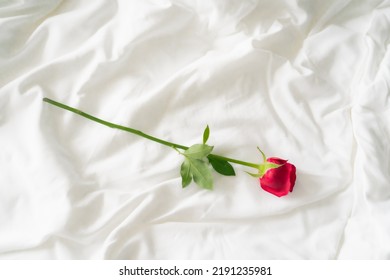 Red Rose On White Bedsheet, Topview