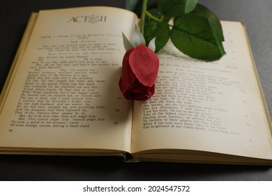 Red Rose And An Opened Shakespeare Book.