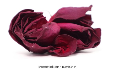 Red Rose Pedals Isolated On White BG