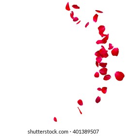 The Red Rose Petals Are Flying In A Circle On Isolated White Background. There Is A Place For Your Text Or Photo