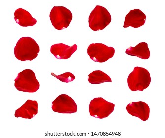 red rose petals isolated on white background - Shutterstock ID 1470854948