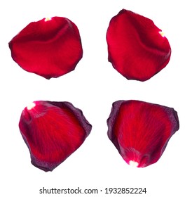 Red Rose Petals Isolated On A White Background.