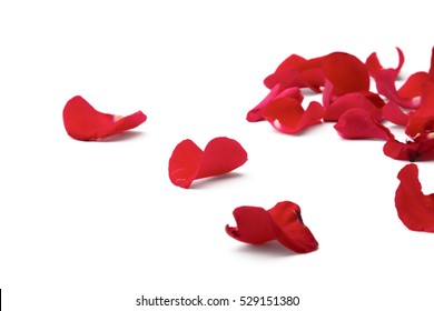 Red Rose Petals Isolated On White Background