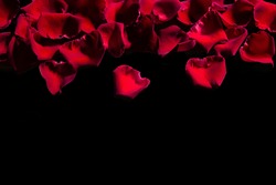 Red Rose Petals On A Black Background.