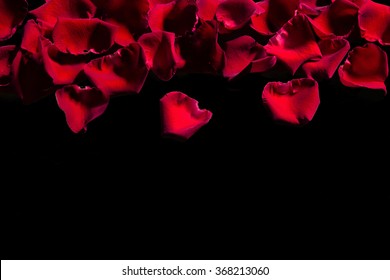 Red Rose Petals On A Black Background.