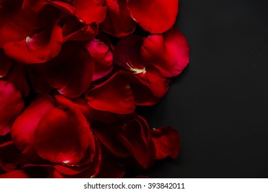 Red Rose Petals On The Black Board.