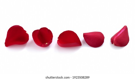 Red Rose Petals On White Background