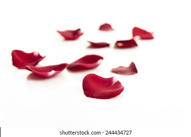 Red Rose Petals On White Background