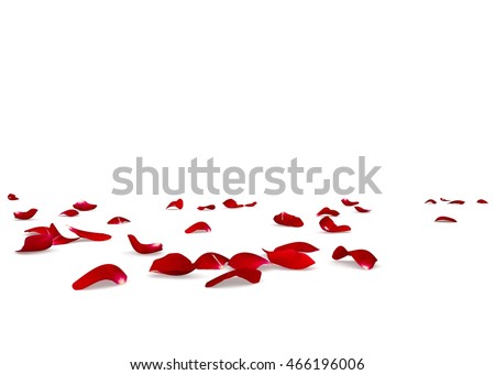 Red rose petals scattered on the floor. Isolated white background