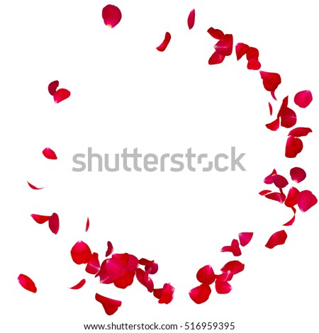 Red rose petals scattered on the floor in a semi-circle. There is a place for Your text or photo