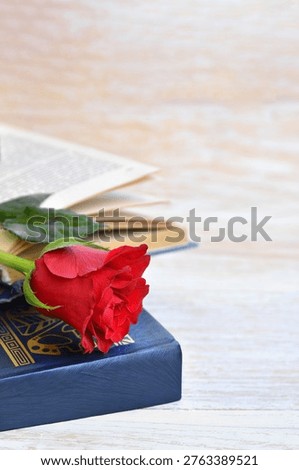 Red rose is placed elegantly on a blue book, hinting at the tradition of giving a rose to a loved one on Sant Jordi's Day.
